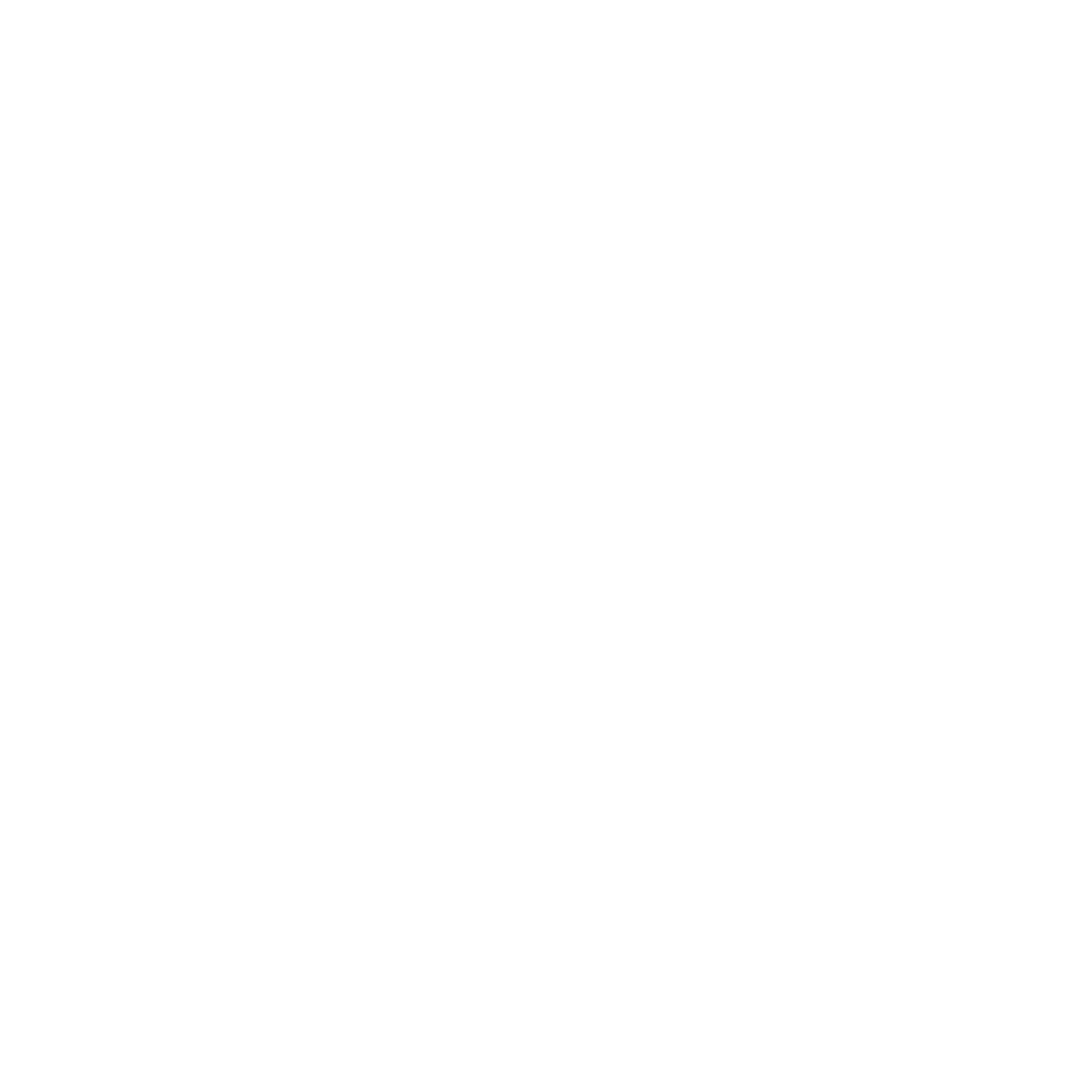 The Crazy Goose Logo